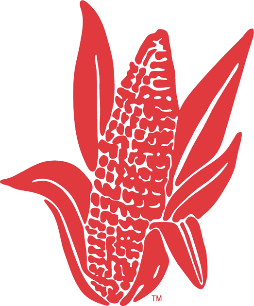 Nebraska Cornhuskers 1962-1973 Alternate Logo diy iron on heat transfer
